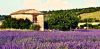 camping en provence