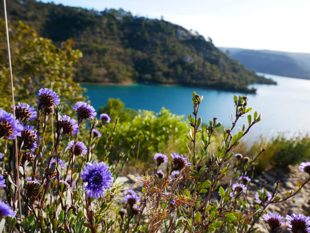 Lac Esparron proche camping la Beaume