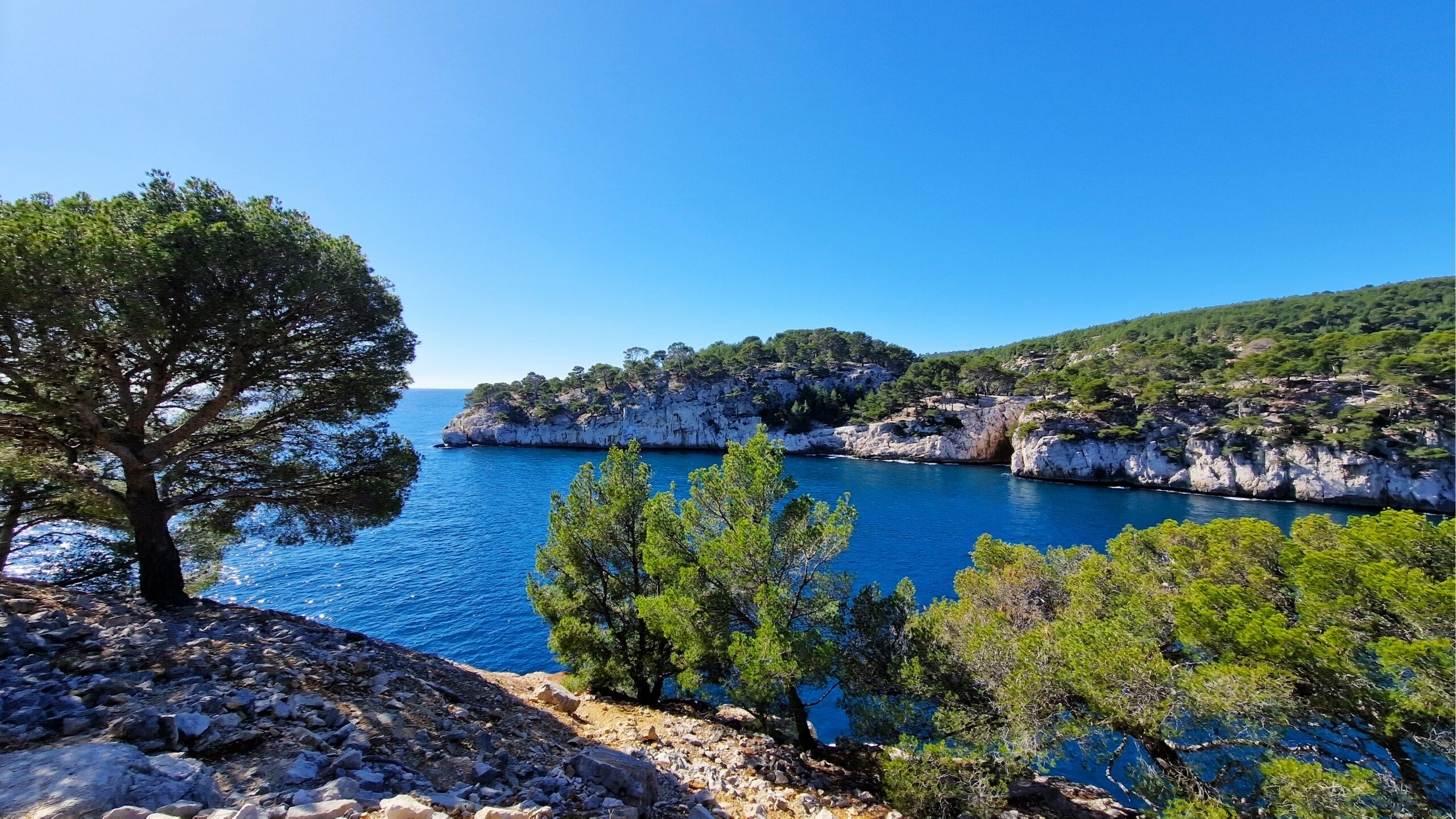 ontdek het paca-gebied